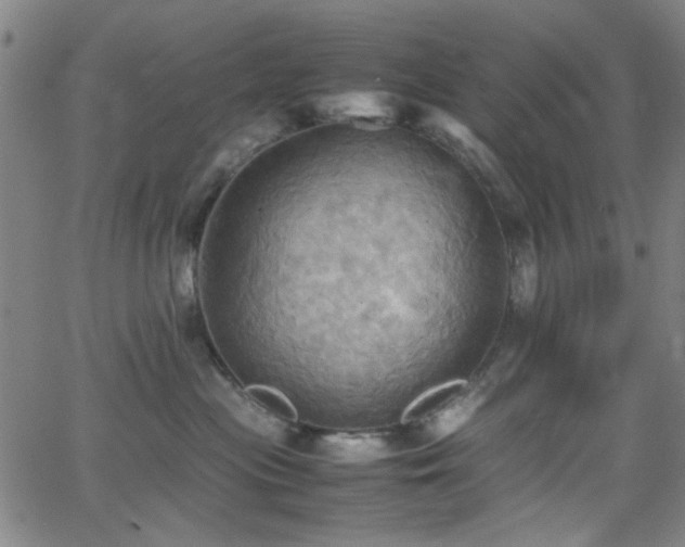 X0000064040477200601271207