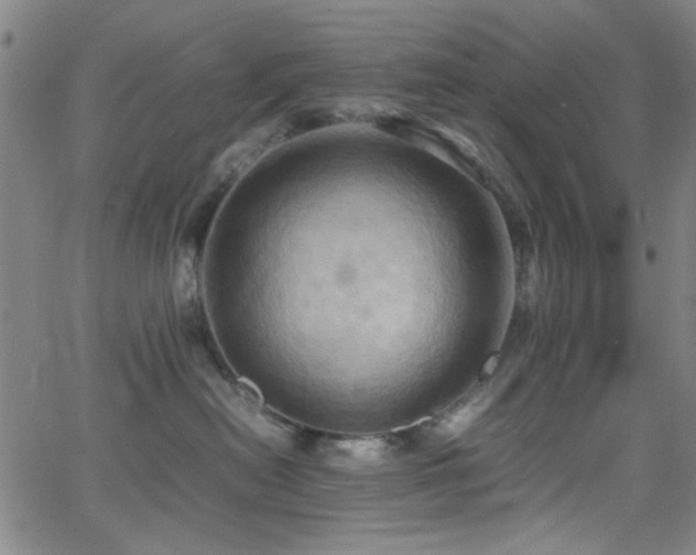 X0000064040478200601271207