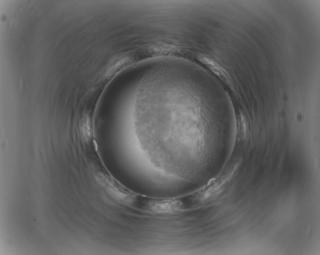 X0000064040479200601271207