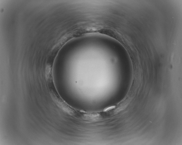 X0000064040480200601271207