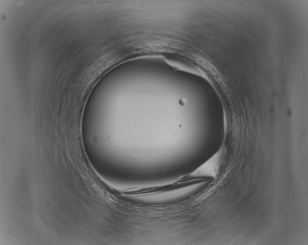 X0000064040481200601271206