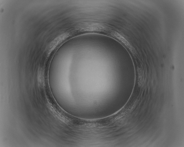 X0000064040482200601271206