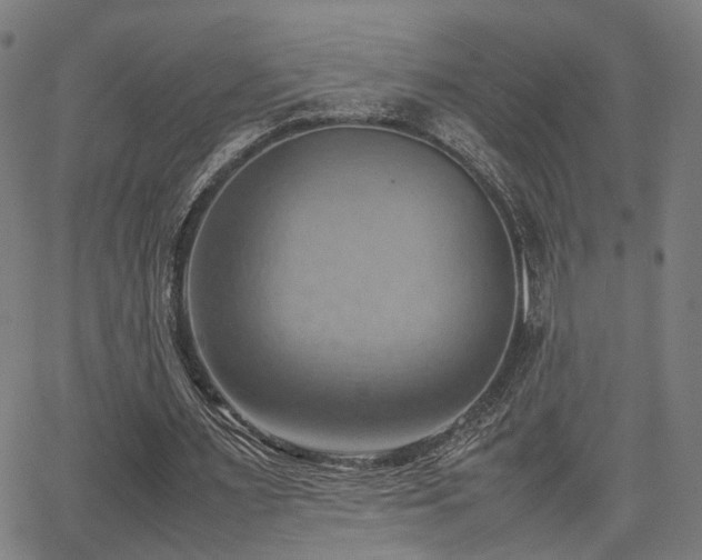 X0000064040483200601271206