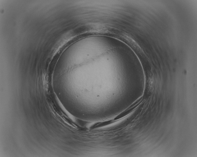 X0000064040484200601271206