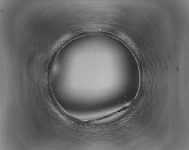 X0000064040485200601271206