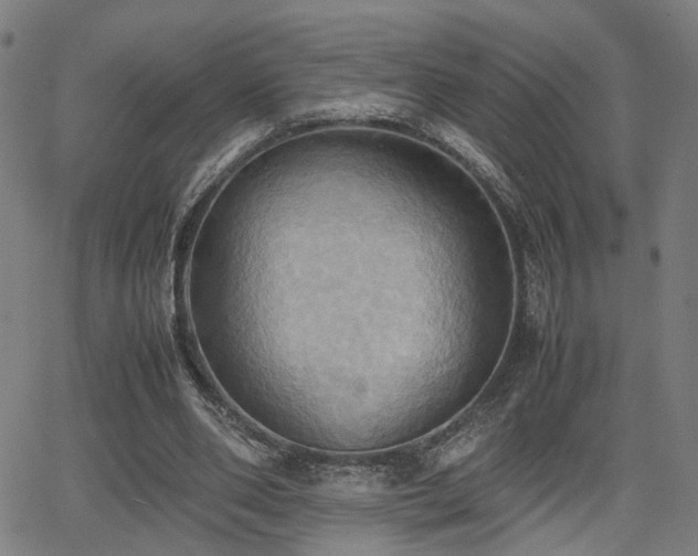 X0000064040486200601271206