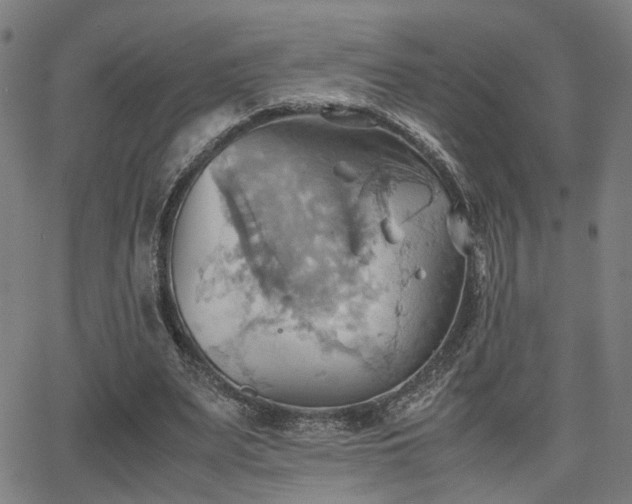 X0000064040487200601271206