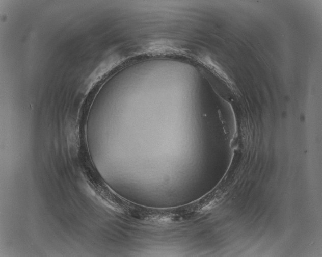 X0000064040488200601271206