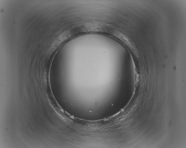 X0000064040489200601271206