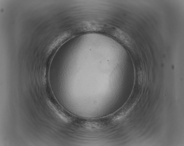 X0000064040490200601271206