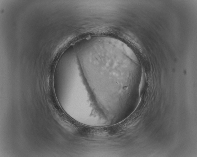 X0000064040491200601271206