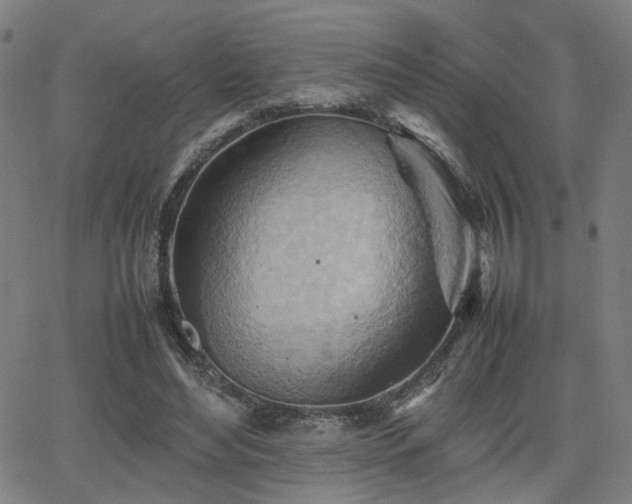 X0000064040492200601271206