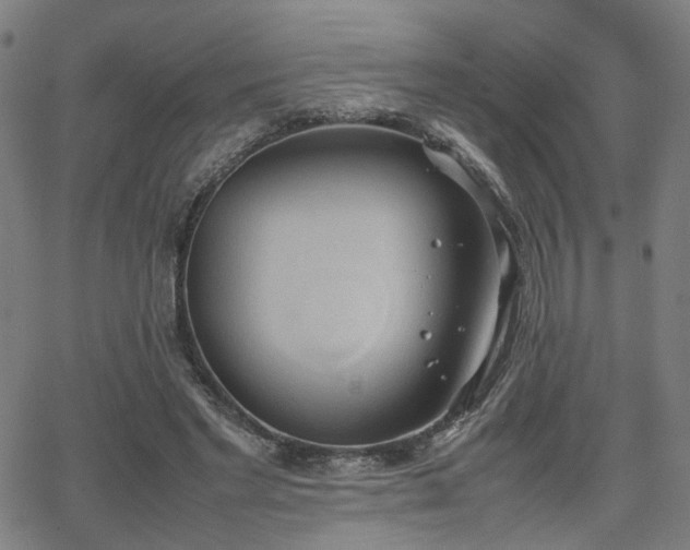 X0000064040493200601271206