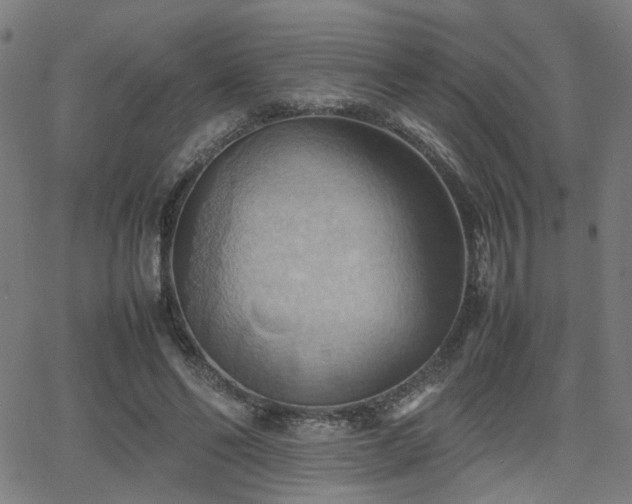 X0000064040494200601271206