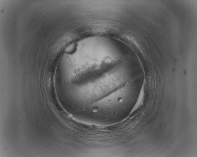 X0000064040495200601271206