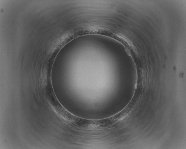 X0000064040496200601271206