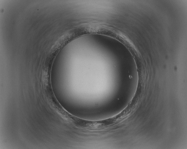 X0000064040497200601271206