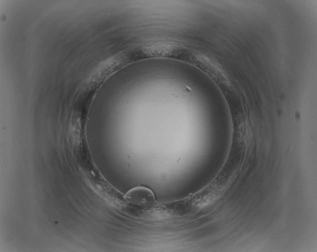 X0000064040498200601271206