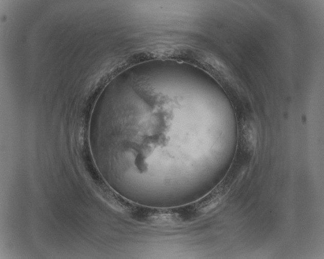 X0000064040499200601271205