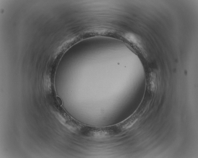 X0000064040500200601271205