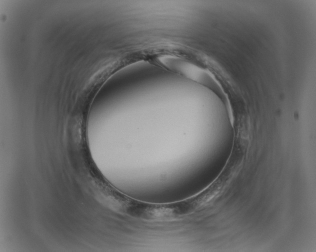 X0000064040501200601271205