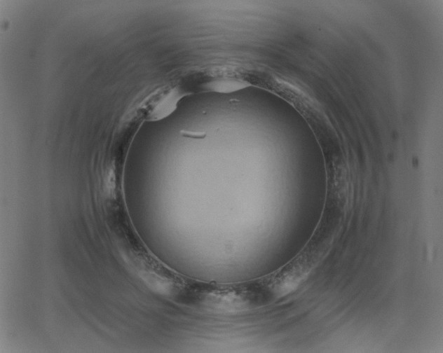 X0000064040502200601271205