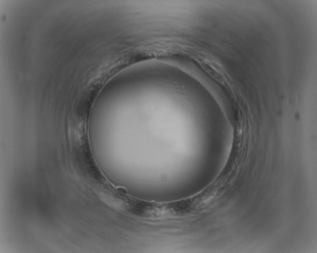 X0000064040503200601271205