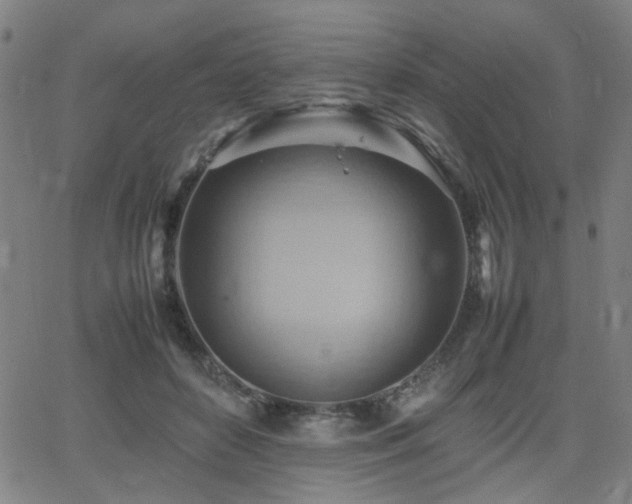 X0000064040504200601271205