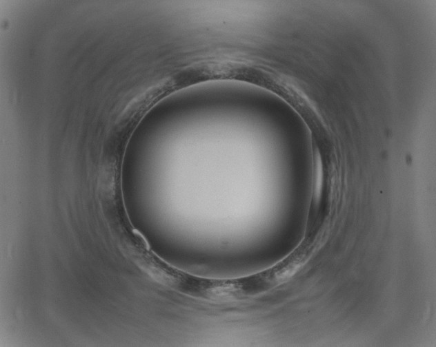 X0000064040505200601271205