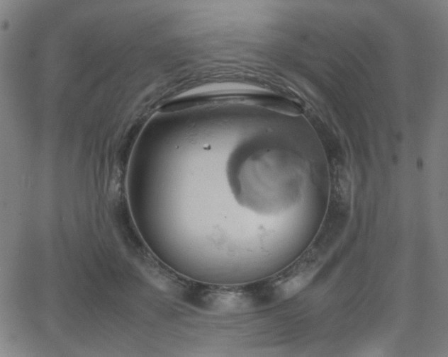 X0000064040507200601271205