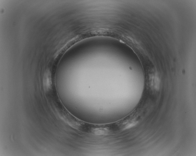 X0000064040508200601271205