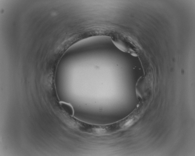 X0000064040509200601271205