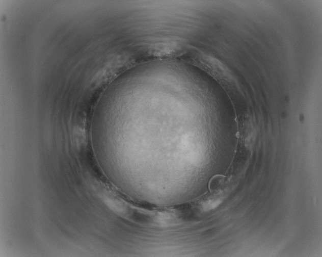 X0000064040510200601271205