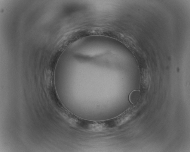 X0000064040511200601271205