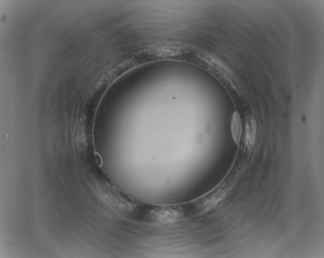 X0000064040512200601271205