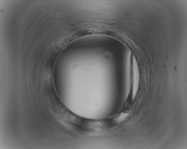 X0000064040513200601271205