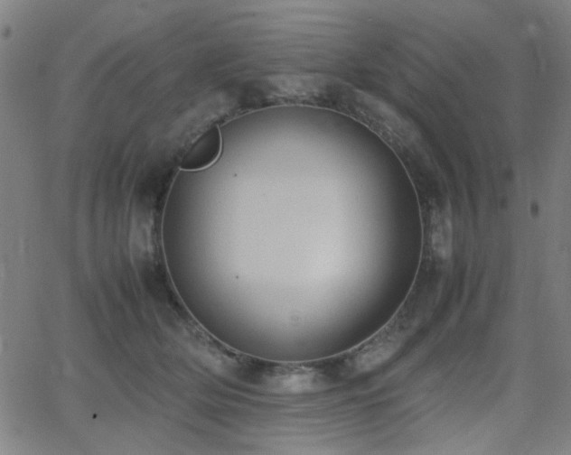 X0000064040514200601271205