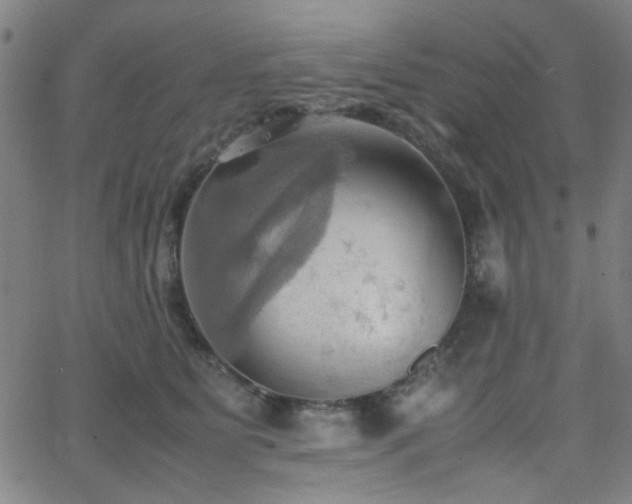 X0000064040515200601271205