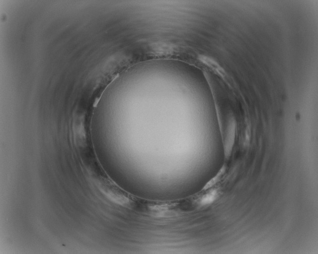 X0000064040516200601271205