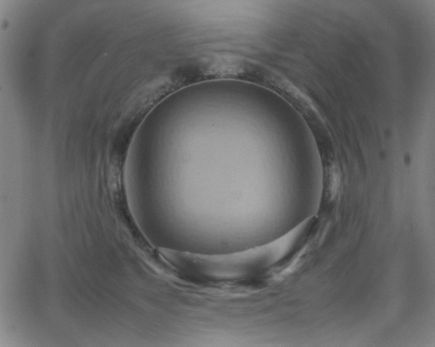 X0000064040517200601271205