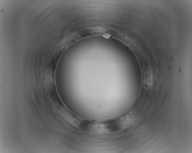 X0000064040518200601271205