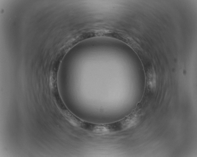 X0000064040519200601271205