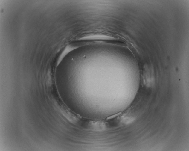 X0000064040520200601271205