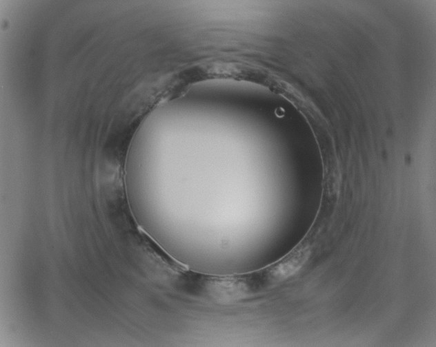 X0000064040521200601271205