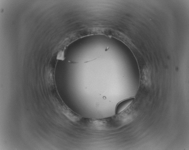 X0000064040522200601271205