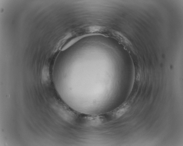 X0000064040524200601271205