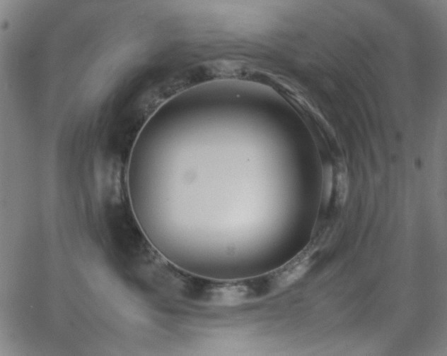 X0000064040525200601271205