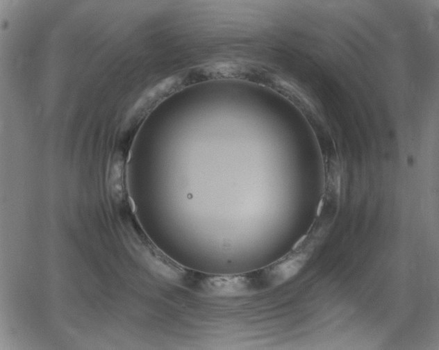 X0000064040526200601271205