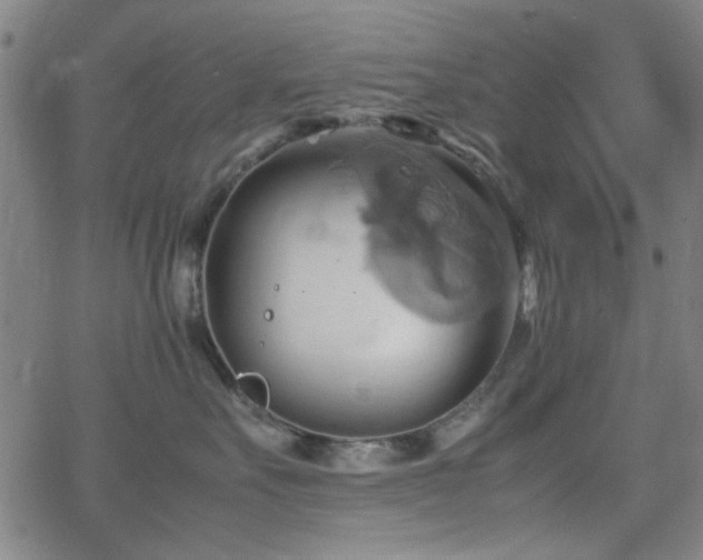 X0000064040527200601271205