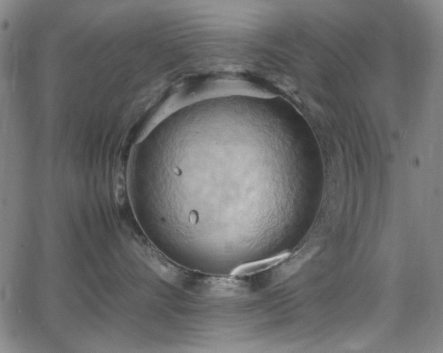 X0000064040528200601271205